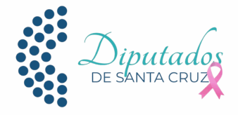 DIPUTADOS DE SANTA CRUZ